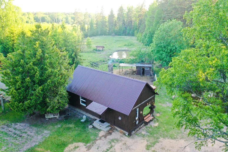 Private Farm Jakuzzi Sauna In The Forest Talsi Dış mekan fotoğraf