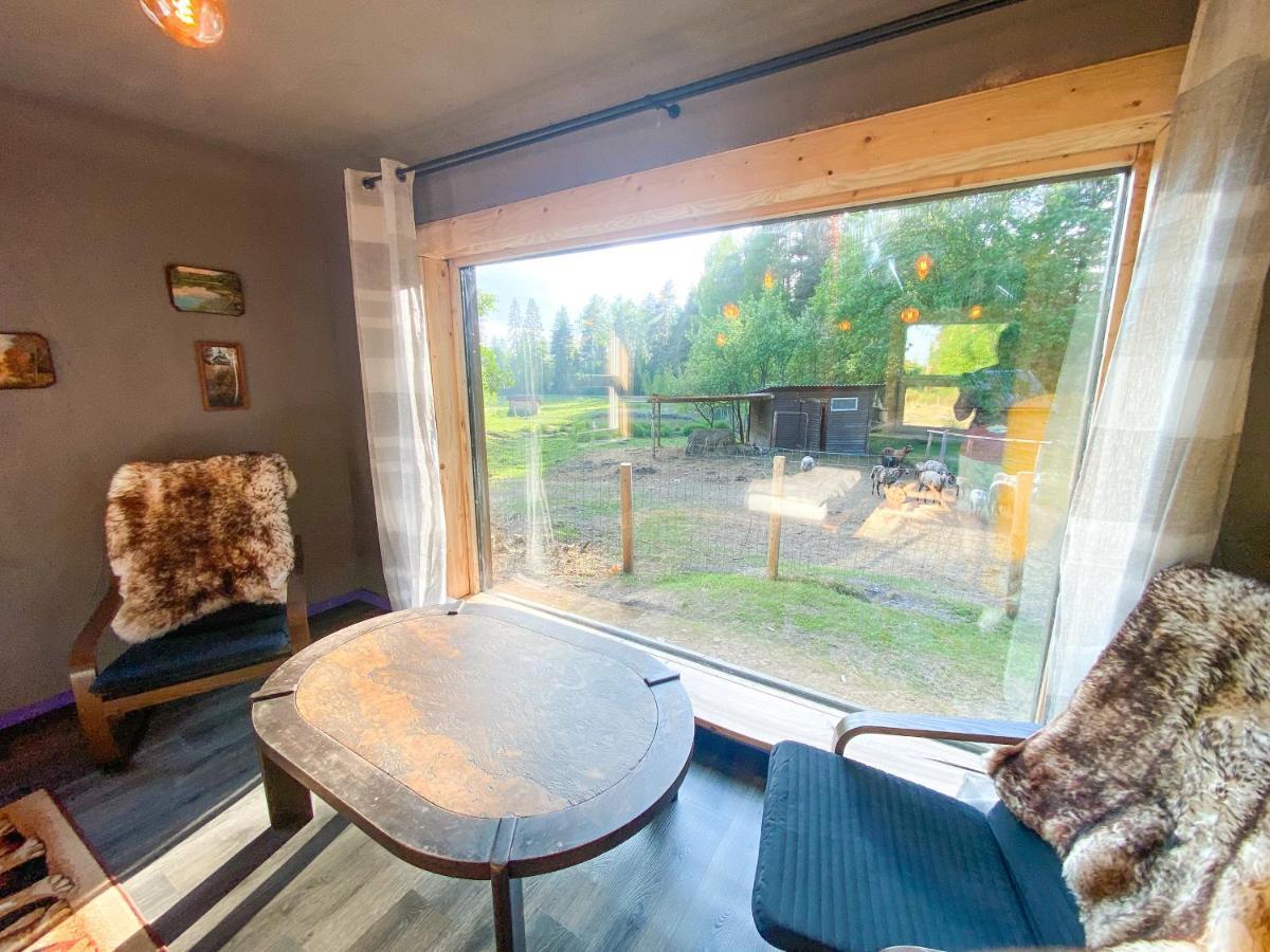 Private Farm Jakuzzi Sauna In The Forest Talsi Dış mekan fotoğraf