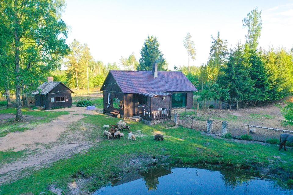 Private Farm Jakuzzi Sauna In The Forest Talsi Dış mekan fotoğraf