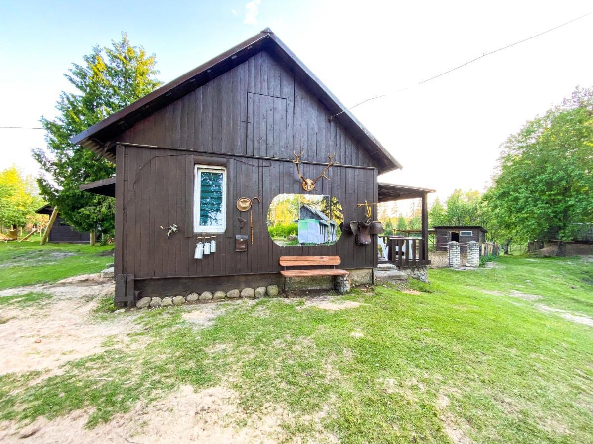 Private Farm Jakuzzi Sauna In The Forest Talsi Dış mekan fotoğraf