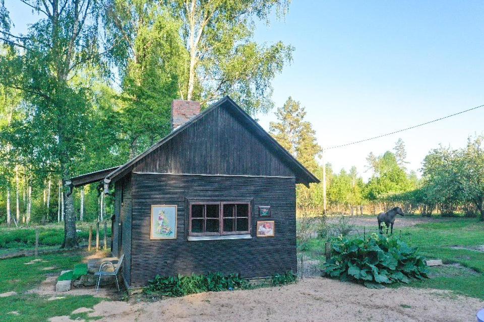 Private Farm Jakuzzi Sauna In The Forest Talsi Dış mekan fotoğraf