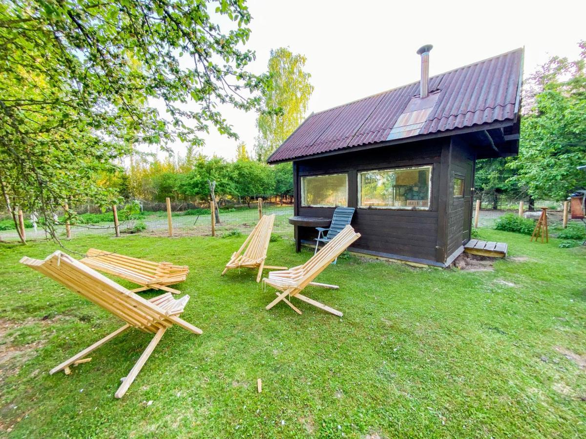 Private Farm Jakuzzi Sauna In The Forest Talsi Dış mekan fotoğraf